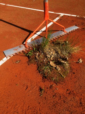 Frühjahrsüberholung Tennisplatz - starker Grünbewuchs Ziegelmehlschicht
